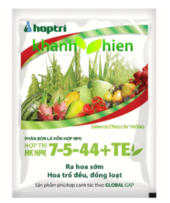 Hợp Trí HK 7-5-44 TE - Gói