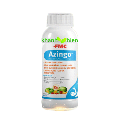 AZINGO FMC - Chai