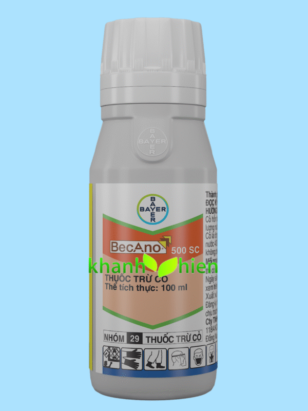 BECANO 500SC - Chai