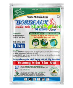 BORDEAUX 25WP *20 - Bì