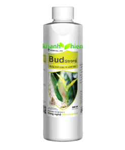BUD STRONG KÉO ĐỌT MẠNH *40 - Chai