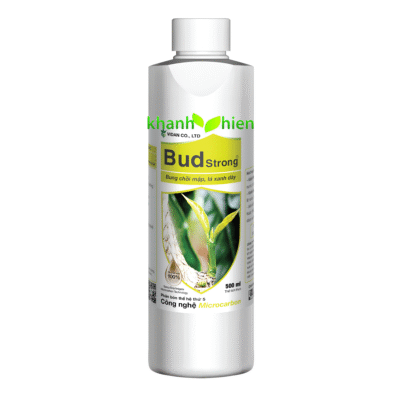 BUD STRONG KÉO ĐỌT MẠNH *40 - Chai