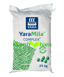 YARAMILA COMPLEX 12.11.18 - Bao