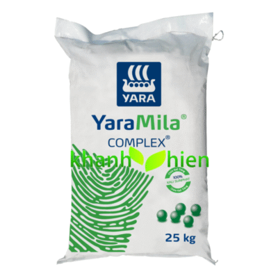 YARAMILA COMPLEX 12.11.18 - Bao