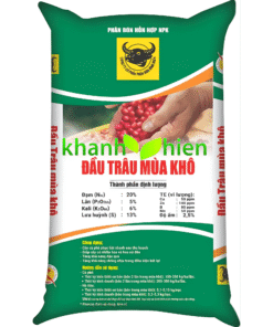 Đầu Trâu Mùa Khô - Bao