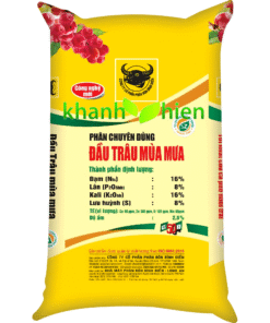 Đầu Trâu Mùa Mưa - Bao