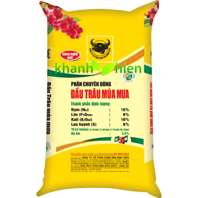 Đầu Trâu Mùa Mưa - Bao