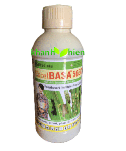 EXCEL BASA 50ND *30 - Chai