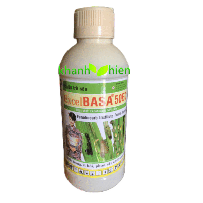 EXCEL BASA 50ND *30 - Chai