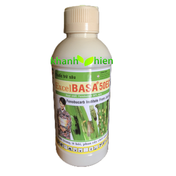 EXCEL BASA 50ND *30 - Chai