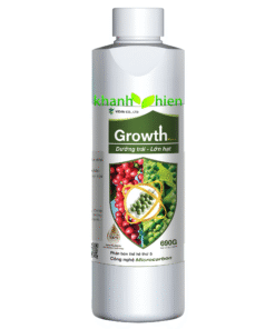 GROWTH DƯỠNG TRÁI LỚN HẠT VD *40 - Chai