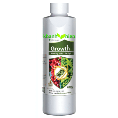 GROWTH DƯỠNG TRÁI LỚN HẠT VD *40 - Chai