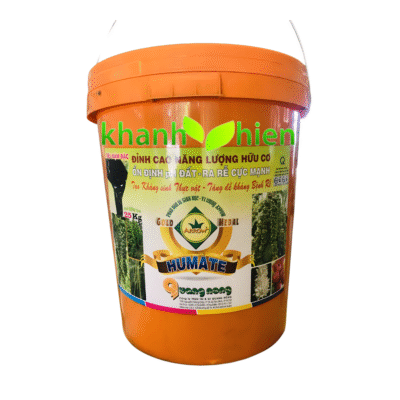 ARROW XÔ HUMATE CAFE GOLD Vàng Đậm Đặc - Xô