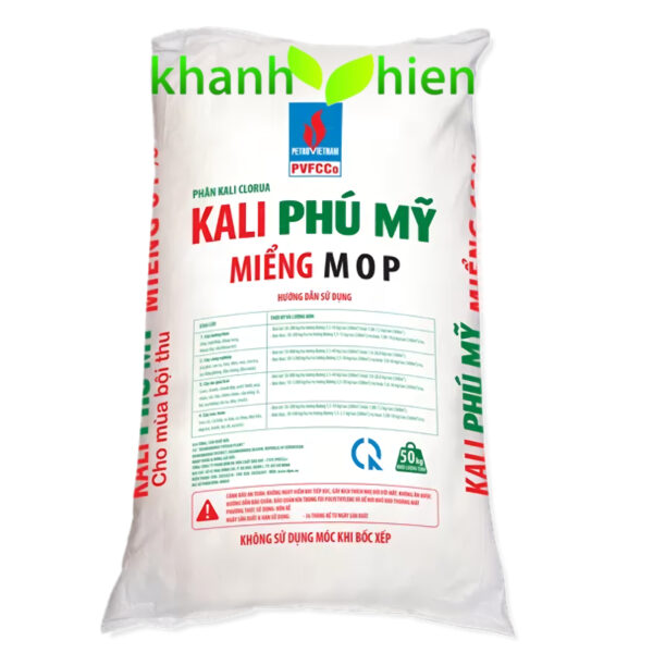 KALY NGA PHÚ MỸ - Bao - Ảnh 2