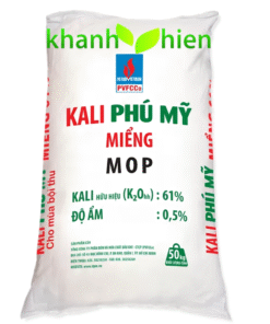 KALY NGA PHÚ MỸ - Bao