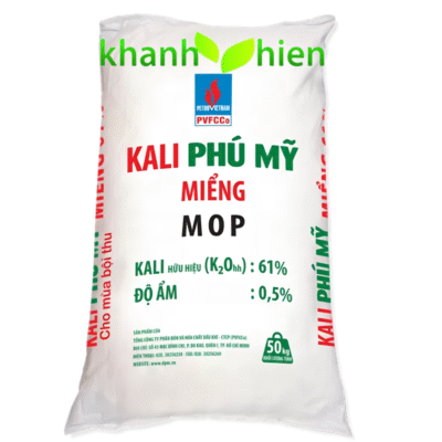 KALY NGA PHÚ MỸ - Bao