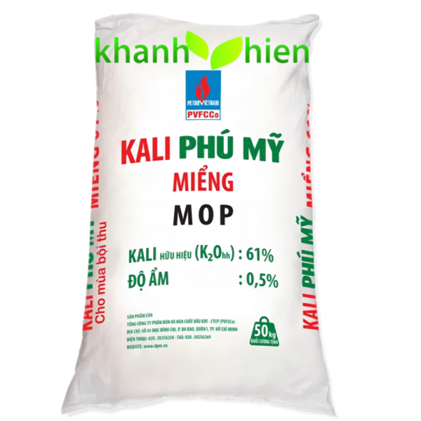 KALY NGA PHÚ MỸ - Bao