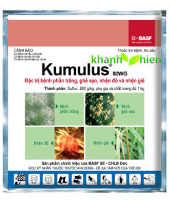 KUMULUS 80WP - Kg