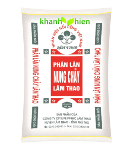 Lân Lâm Thao - Bao
