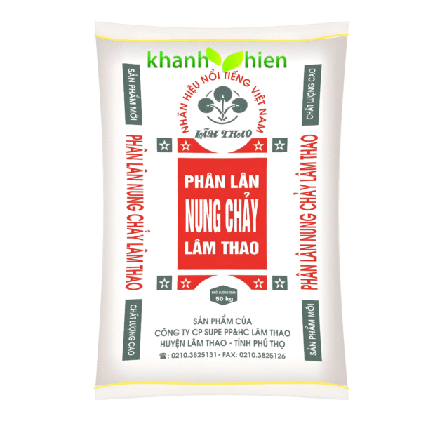 Lân Lâm Thao - Bao