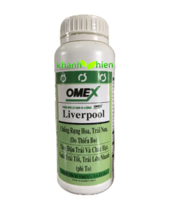 OMEX LIVERPOOL - Chai