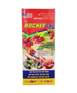 ROCKEST 999 CALI - Chai