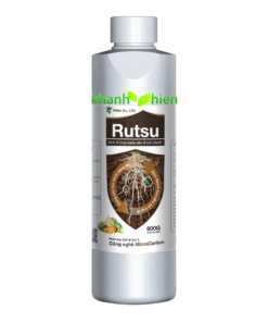 ROOT 101 RA RỄ *40 - Chai