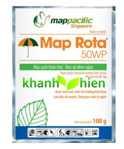 MAP ROTA 50WP *400 - Bì