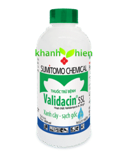 VALIDACIN 5L *30 - Chai