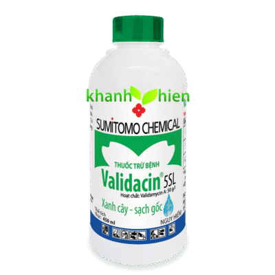 VALIDACIN 5L *30 - Chai