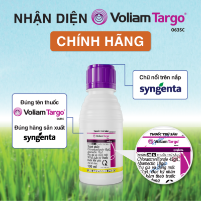 VOLIAM TARGO - Chai