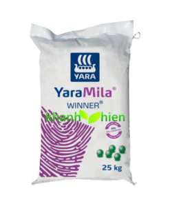 YARAMILA WINNER 15.09.20 - Bao