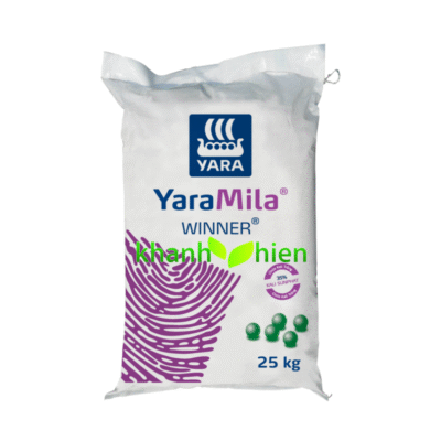 YARAMILA WINNER 15.09.20 - Bao