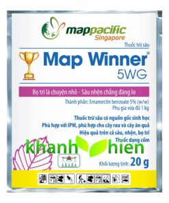 Map Winner 5WG *560 - Gói