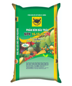 Đầu Trâu 16.16.16 Cây Ăn Trái - Bao