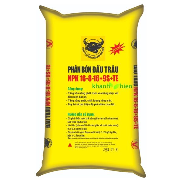 Đầu Trâu Vàng 16.8.16 9S - Bao - Ảnh 2