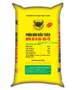 Đầu Trâu Vàng 16.8.16 9S - Bao