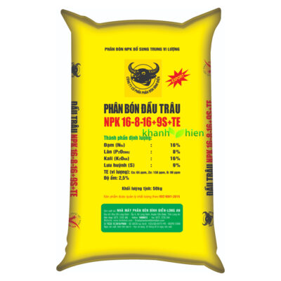 Đầu Trâu Vàng 16.8.16 9S - Bao