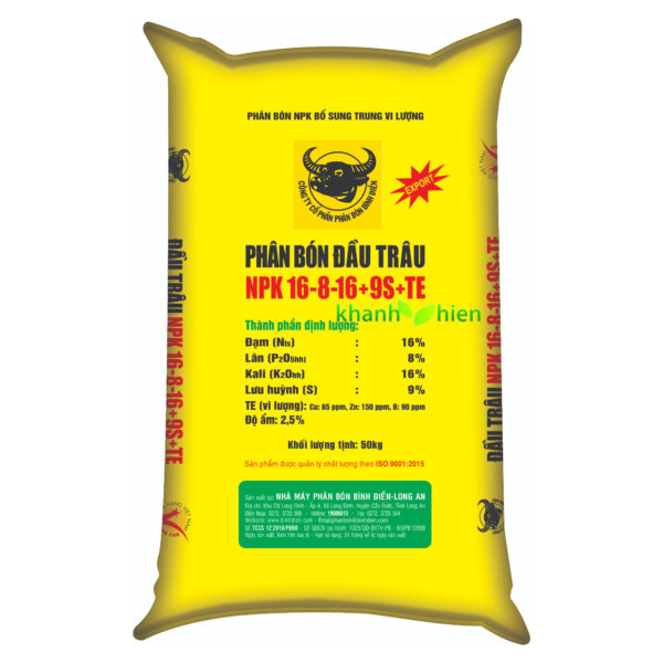 Đầu Trâu Vàng 16.8.16 9S - Bao