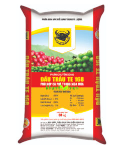 Đầu Trâu 168 16.6.18 TE - Bao