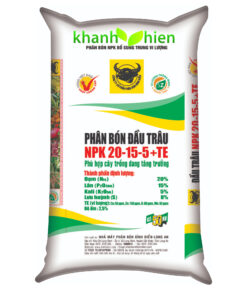 Đầu Trâu Tăng Trưởng 20.15.5 TE - Bao