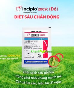 INCIPIO 200SC - CHAI