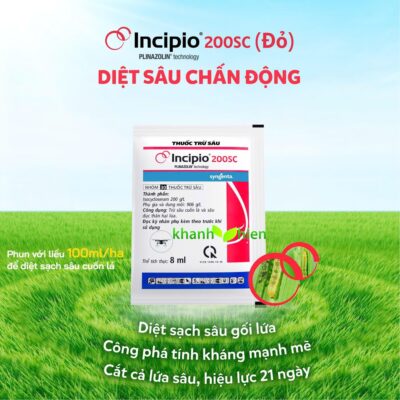 INCIPIO 200SC - CHAI