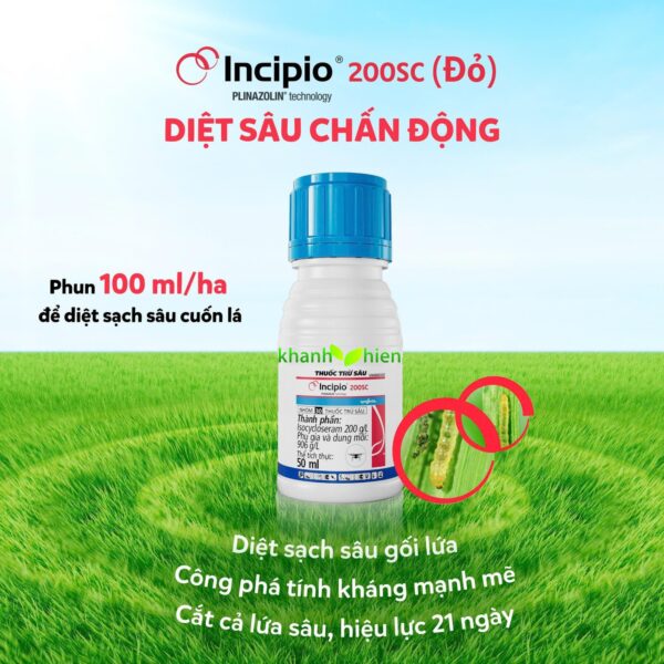 INCIPIO 200SC - CHAI - Ảnh 2