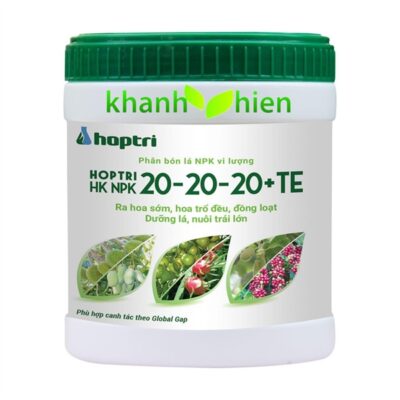 HOPTRI 20.20.20 TE*20 - Hủ