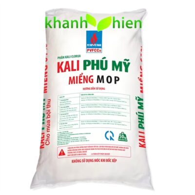 KALY NGA PHÚ MỸ - Bao