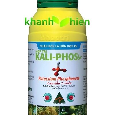 KALIPHOS *20 - Chai