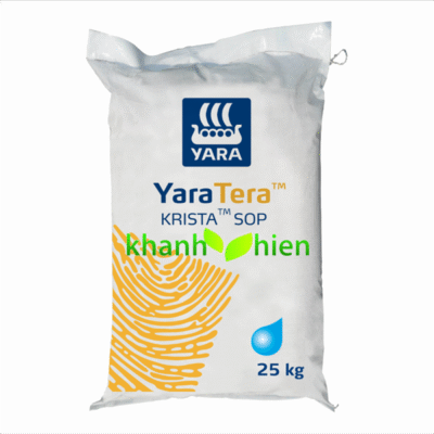 YARA KRISTA SOP - Bao