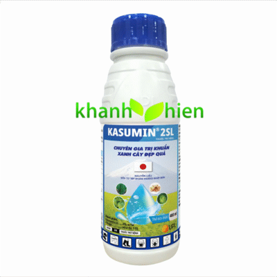 KASUMIN 2SL *30 - Chai