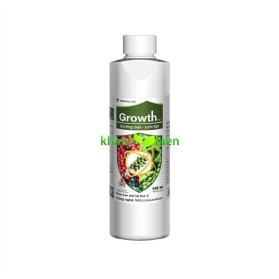 VD GROWTH ( DƯỠNG TRÁI - LỚN HẠT )*40 - Chai